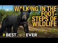 Exploring Florida's Natural Wonders