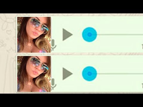 Os Áudios mais engraçados do whatsapp #20