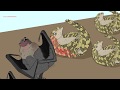 Zoonotic Diseases and Their Impact