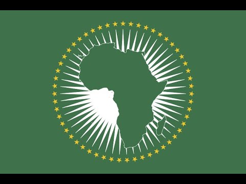 L'UNION AFRICAINE EST UNE ORGANISATION ALIENEE/  UNE REVOLUTION PANAFRICAINE S'IMPOSE