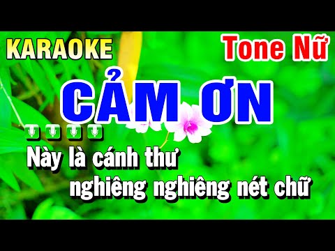 Karaoke Cảm Ơn Tone Nữ ( Beat 2025 ) Huỳnh Anh