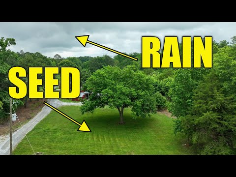 Best Time to Seed Your Lawns and Food Plots