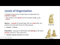 Levels of Organization in the Ecosystem Explained