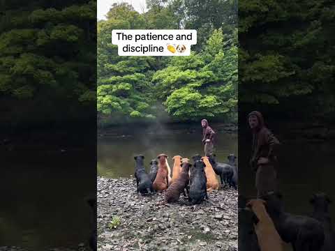 This is awesome 👏