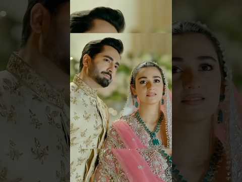 Happy Ending of Sher😍 #danishtaimoor #sarahkhan #shorts #youtubeshorts