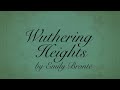 Character Perceptions in Wuthering Heights