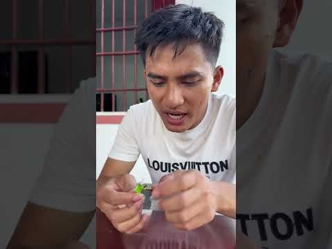 Anh em bất ổn |Tippi Vips #tippitv