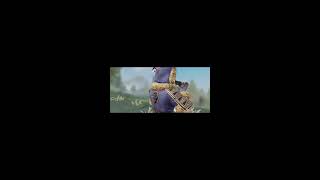 English BGMI : 👍 Good stream | Playing Solo | Streaming with Turnip