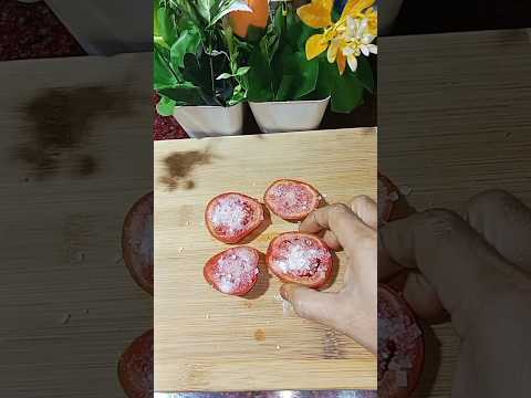 घर से चूहे भगाने का आसान तरीका#seharkhan #food #cooking