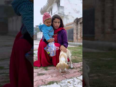 Dog 🐶 ने बचाई बच्चे की जान 😲 // #shorts #ytshorts #doglover #emotional