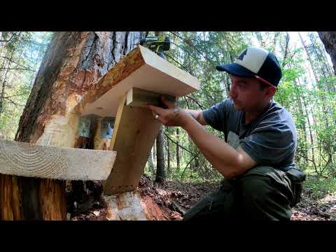 THE BIRTH OF My HUGE TREE HOUSE in The WILD Forest - Building from START to FINISH in 6 months