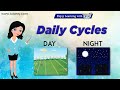 Earth's Rotation and Seasonal Changes