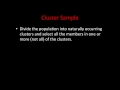 Exploring Sampling Methods