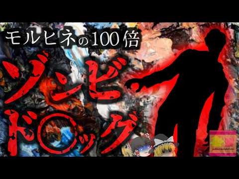 『ゾンビになる薬』フェンタニルに汚染されたカナダ 中毒者が道端に横たわる世紀末状態に…約5万人が命を落とす現状【ゆっくり解説】