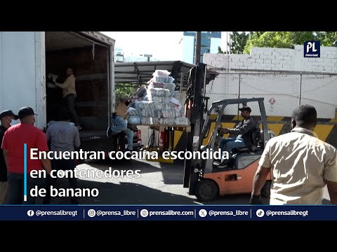 Encuentran cocaína escondida en contenedores de banano procedente de Guatemala hacia Bélgica