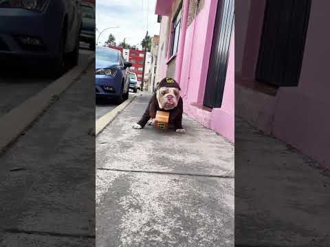 Te caigo mal? ?