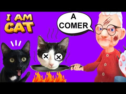 SOY UN GATO PERO LA ABUELA COCINA AL GATITO?! / I am a cat VR en español juego completo