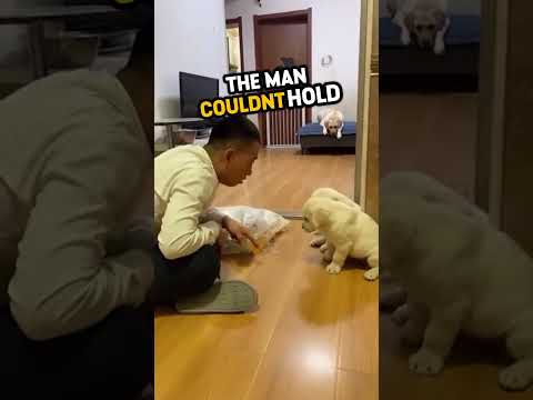 This mother protects her pups from pain ? ? #shorts