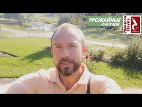 Вдохновитесь цветами, сухоцветами и идеями! Ботанический сад стокгольма продолжает удивлять