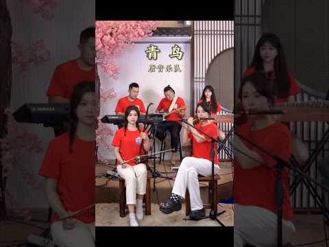青鸟 #中国音乐 #chinesemusic #古筝 #笛子 #二胡 #唐音