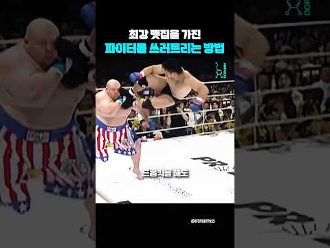 최강 맷집을 가진 파이터를 쓰러트리는 방법
