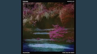 Heartburn (Tonic Walter Remix)