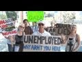 Occupy Movement Perspectives and Concerns
