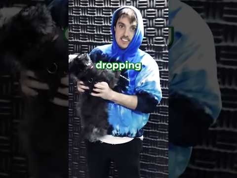 Letting LazarBeam’s DOGS pick my dropspot! ?
