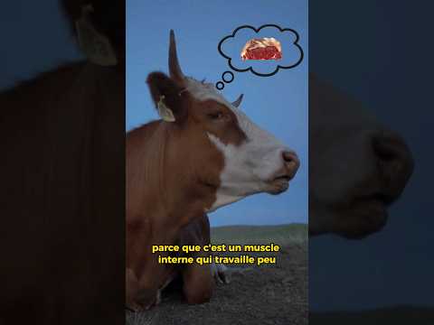 Le Filet de boeuf ! Partie 1 ! #food #viande #filet #boeuf