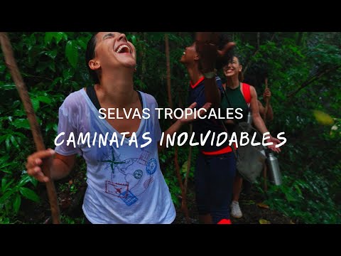 Te Retamos A Ir Por Más Aventura en Panamá