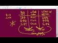 DNA and Protein Synthesis Concepts