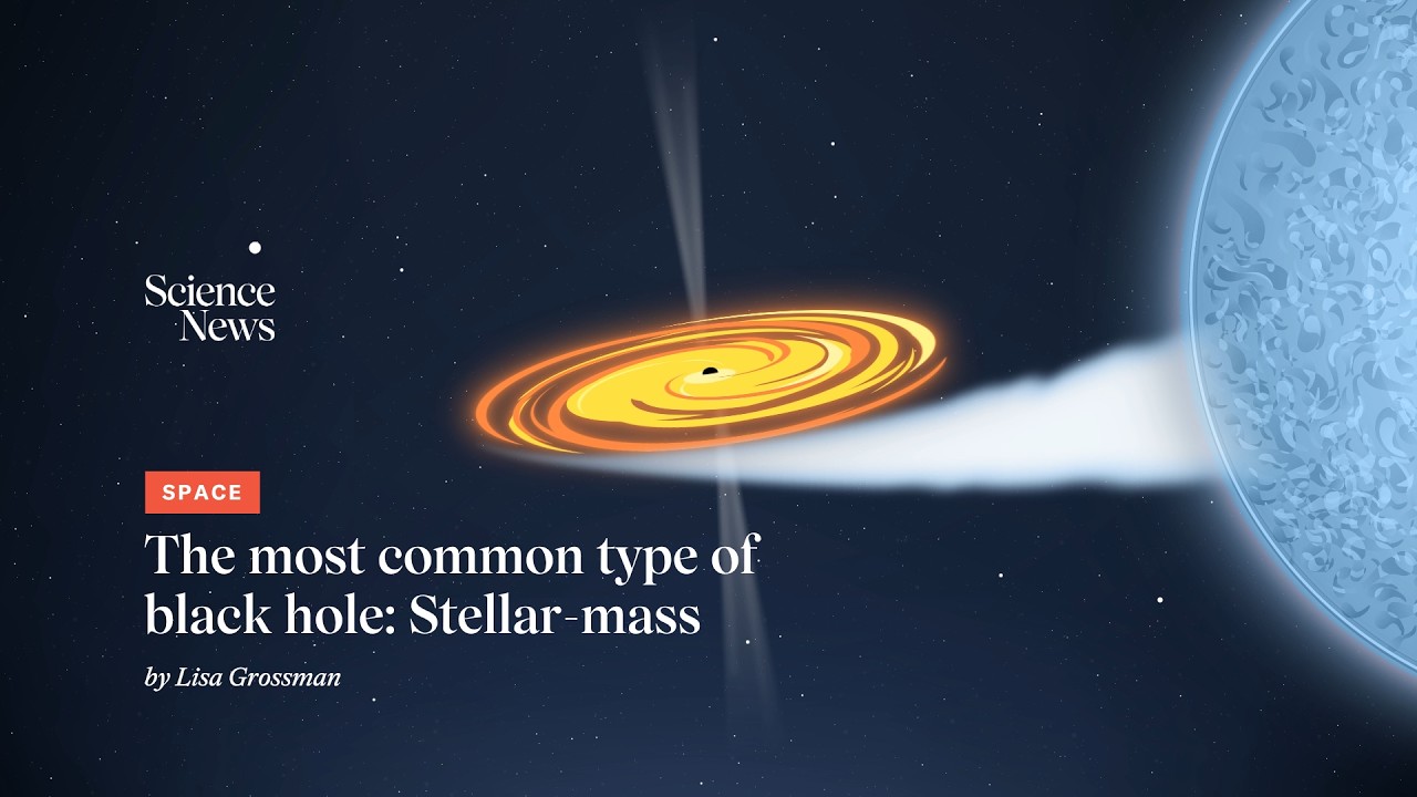 Stellar-mass black holes | Science News