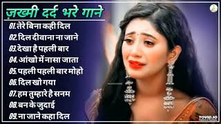 Evergreen 90’S Old Hindi Songs💘 90s Love Song💘 Udit Narayan, Alka Yagnik, Kumar Sanu Bollywood song