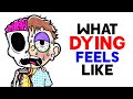 Understanding the Process of Dying