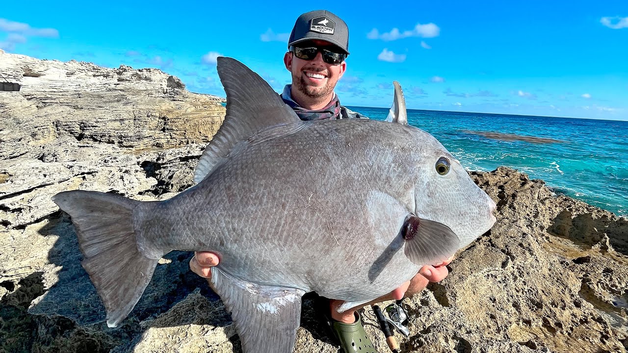 I ve NEVER Caught this FISH Before! Coastlines - Episode 2
