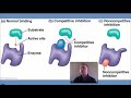 Exploring AP Bio Unit 3 Concepts