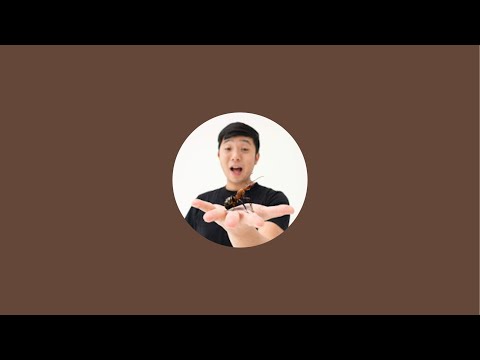 深山「點燈」直播｜【臺灣蟻窟】