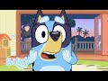 Bluey Episode Themes and Transformations