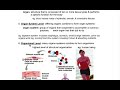Homeostasis and Structural Organization Concepts