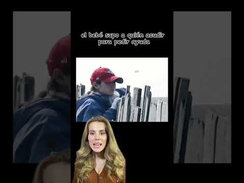 Bebé marino pide ayuda para su mamá