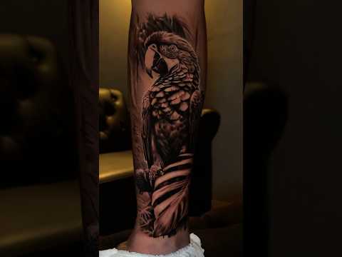 Brazilian macaw, one of the most beautiful birds in the world. #asmr #tattoo