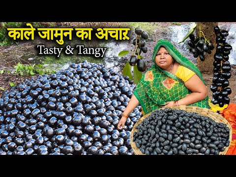 Diabetes से बचाए काले जामुन का खट्टा-मीठा अचार | Village Style Jamun Pickle Recipe / Instant Pickle