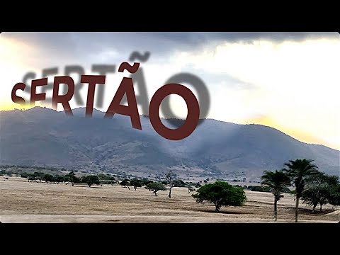 #safari  DO SERTÃO DA BAHIA | BR-242