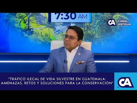 "Tráfico ilegal de vida silvestre en Guatemala: amenazas, retos y soluciones para la conservación"