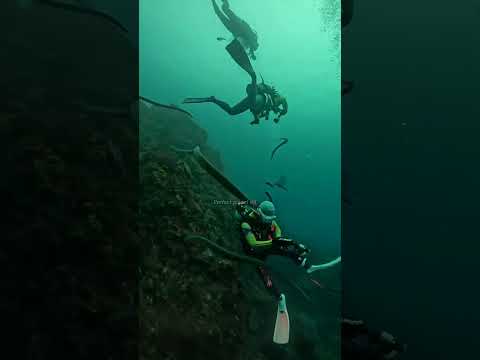 Atlantic Ocean: The world's most mysterious ocean