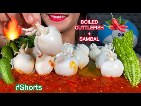 MUKBANG ASMR #Shorts BOILED CUTTLEFISH + SAMBAL CHILI SAUCE 먹방 Eating Sounds