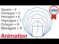 Drawing Polygons and Their Properties