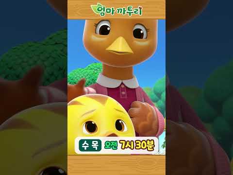 [엄마까투리6] 수목 오전 7시 30분 #엄마까투리 #까투리 #katuri