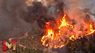 AMERICA IS BURNING Trailer (2026) Action Movie HD