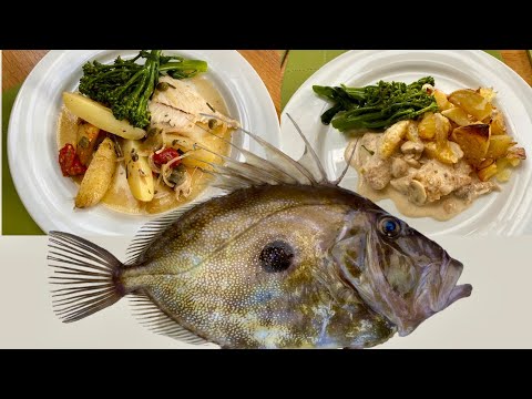 John Dory - Catch, Clean and Cook - Perfect Autumn Food - The Fish Locker